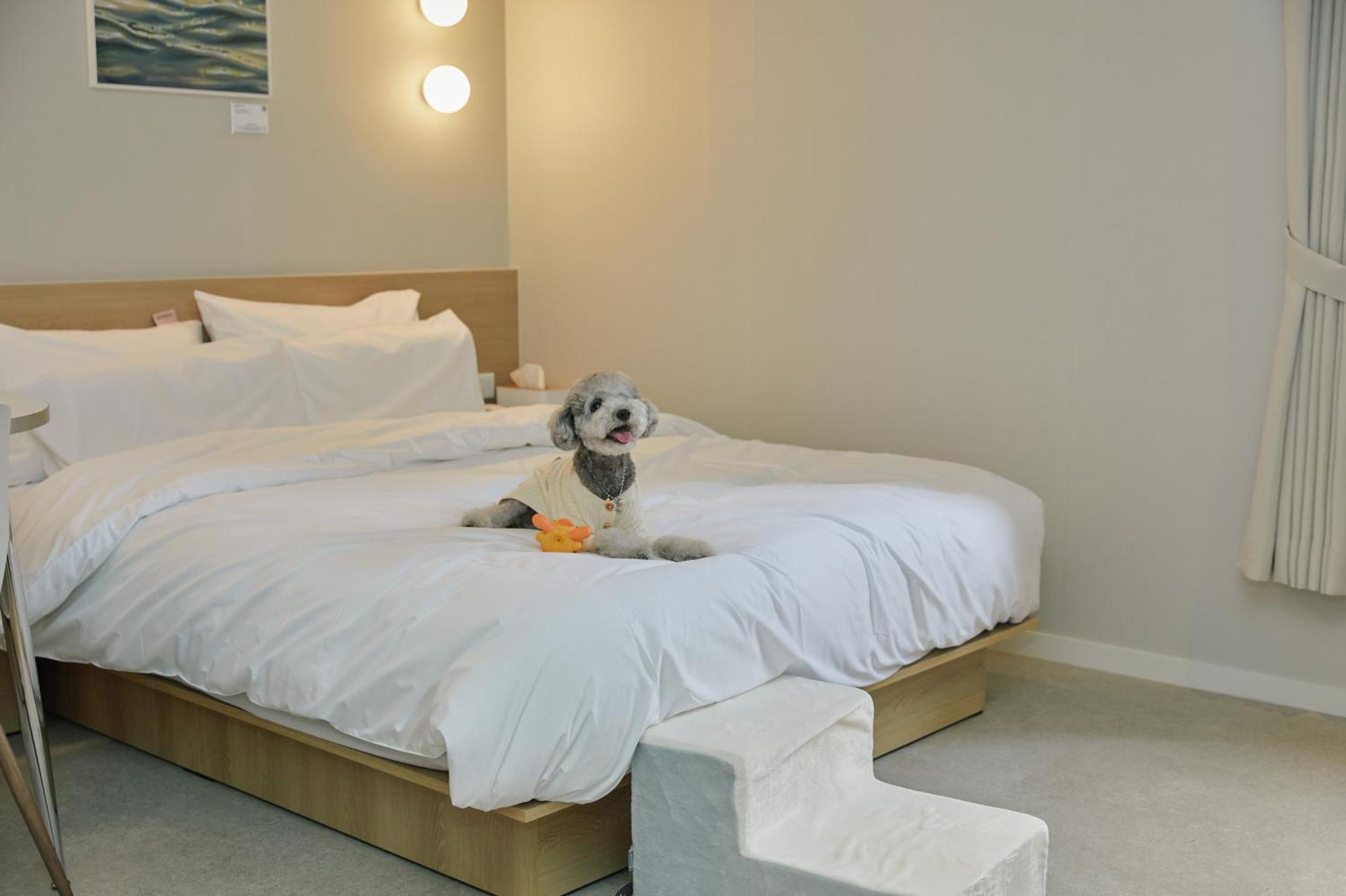 Aank Hotel Incheon Songdo Exteriör bild